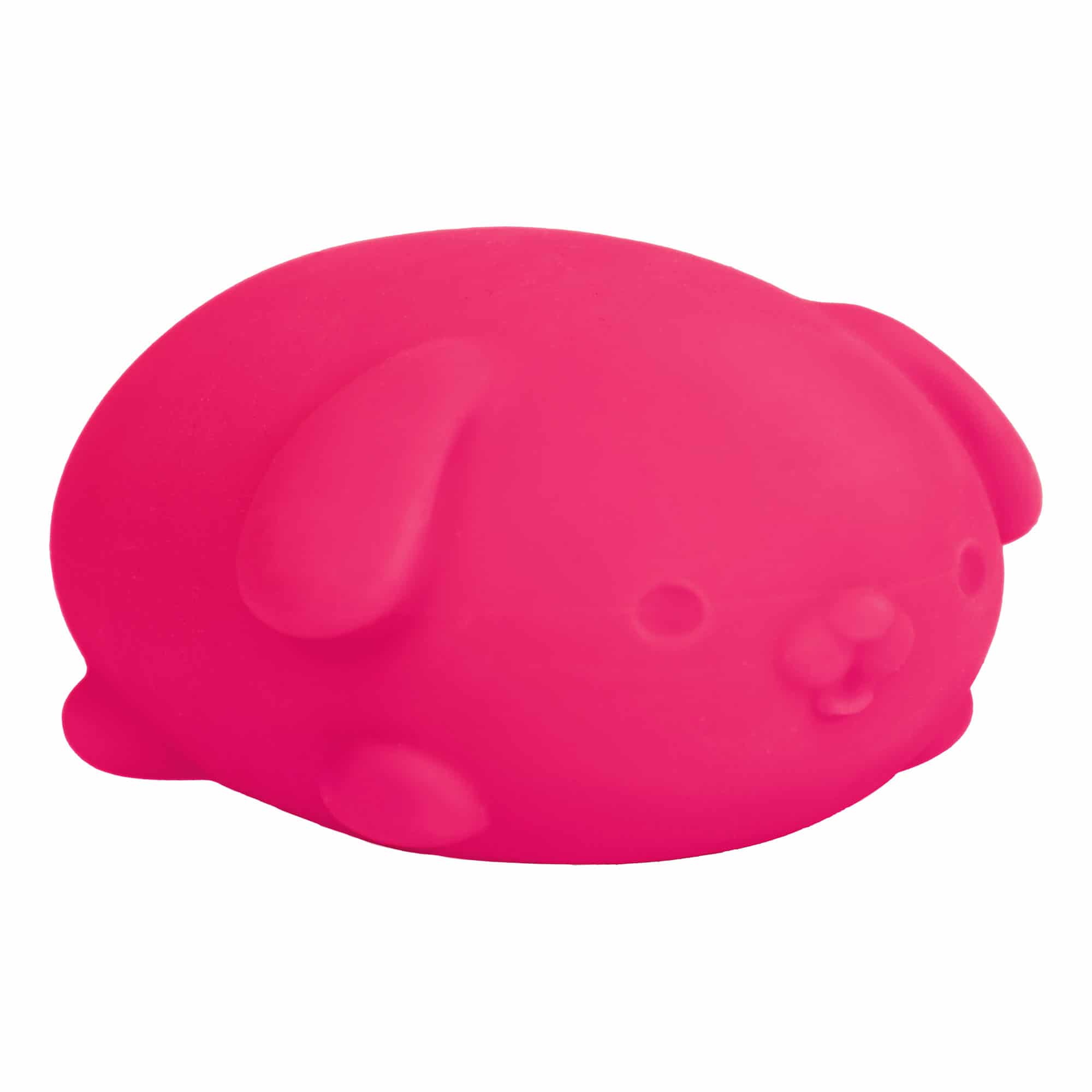 NeeDoh Funky Pup B8 - Pink