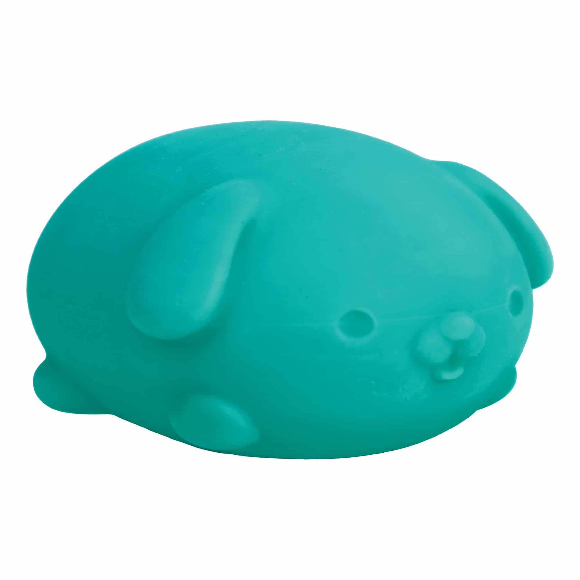 NeeDoh Funky Pup B8 - Teal