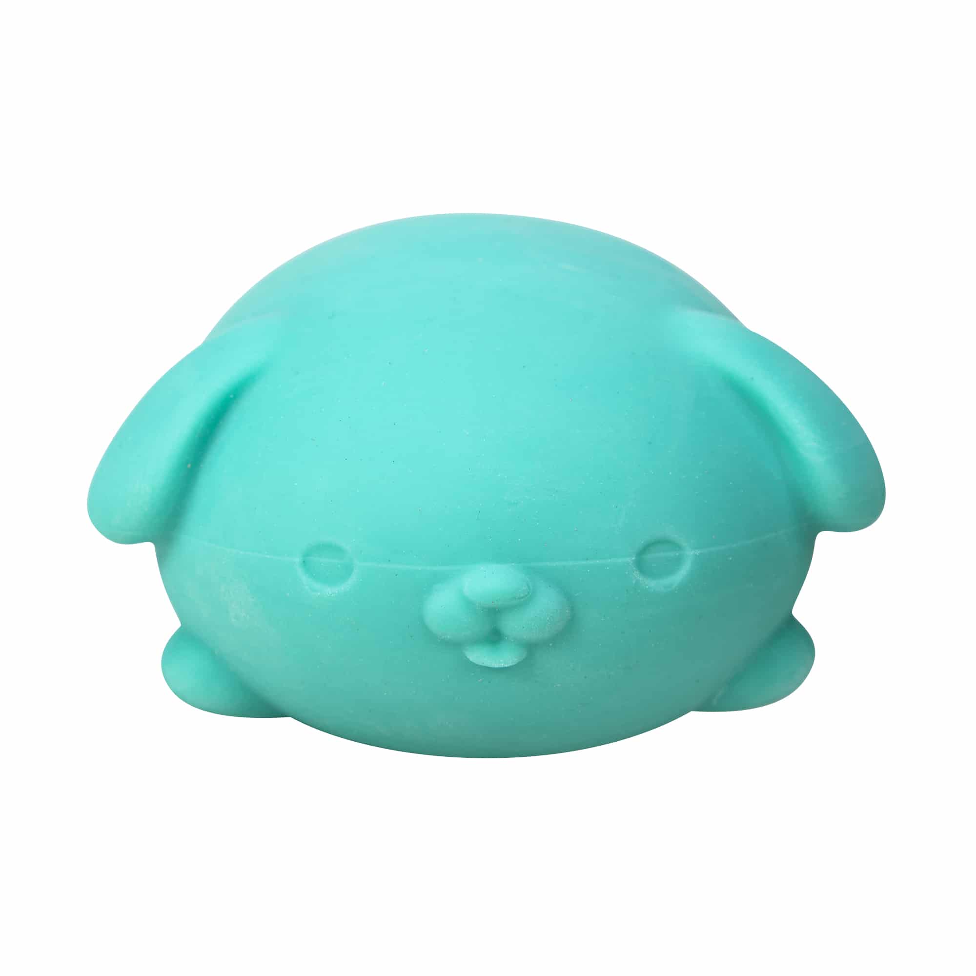 NeeDoh Funky Pup B8 - Teal Front