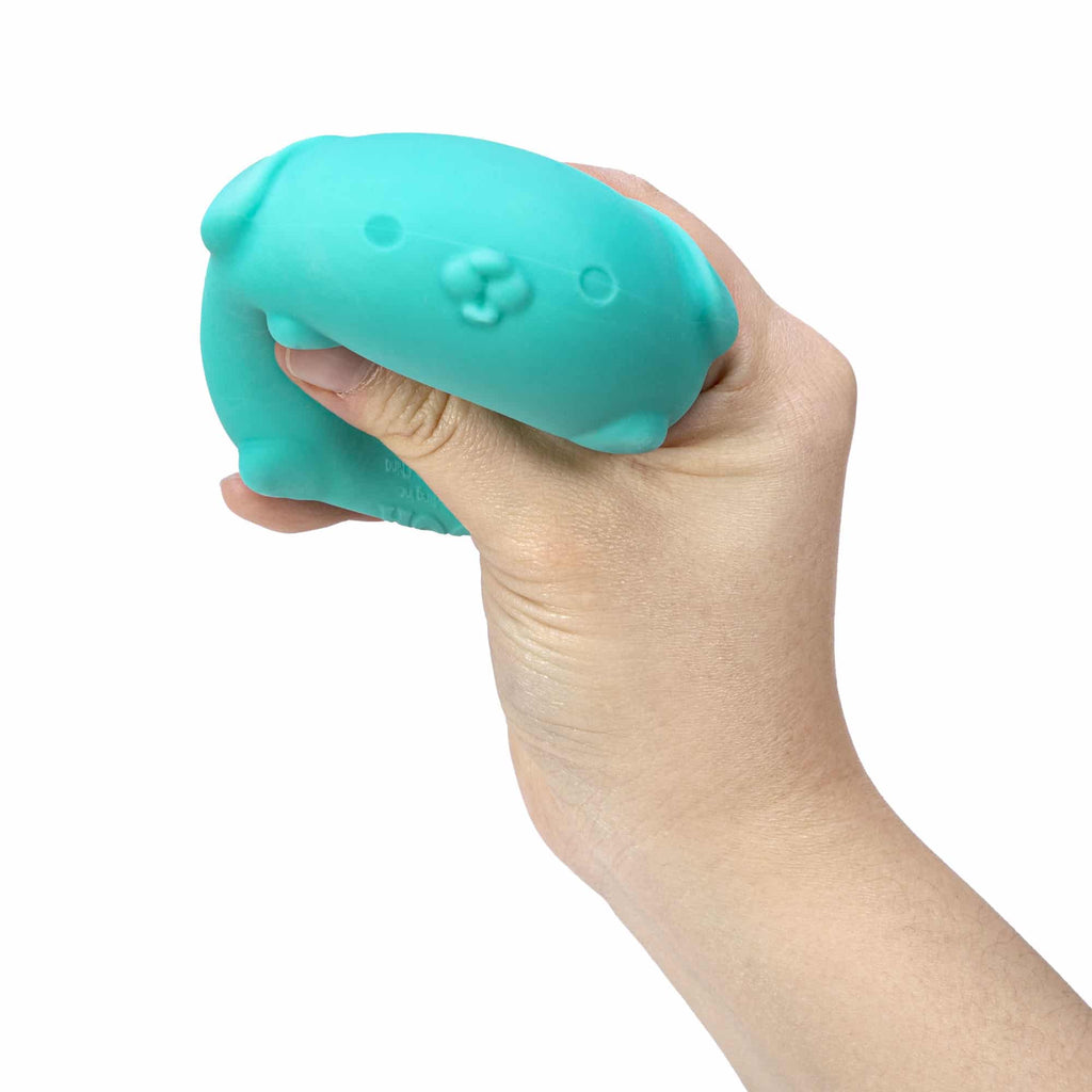 NeeDoh Funky Pup B8 - Teal Squeezed
